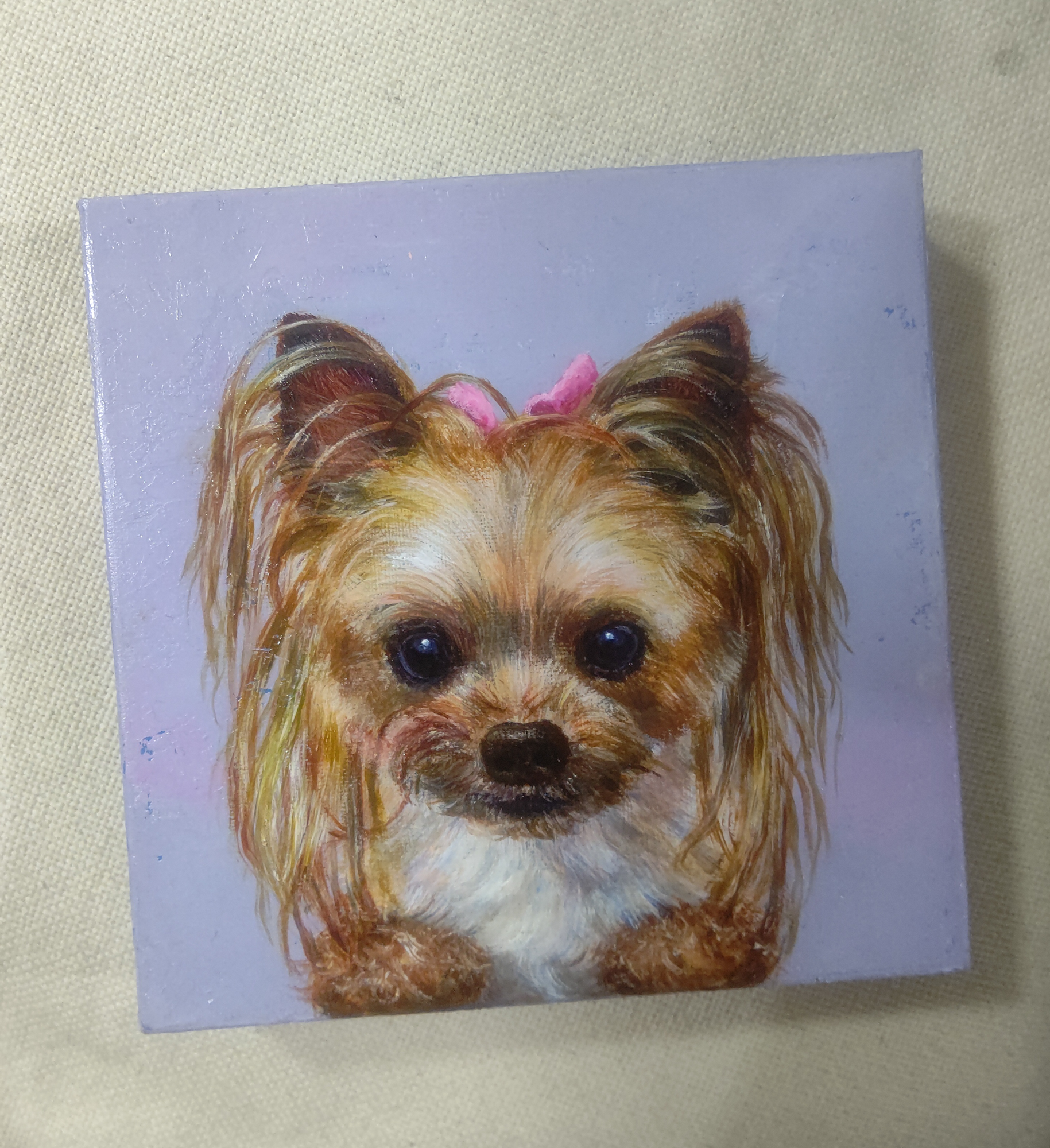 ヨークシャテリア